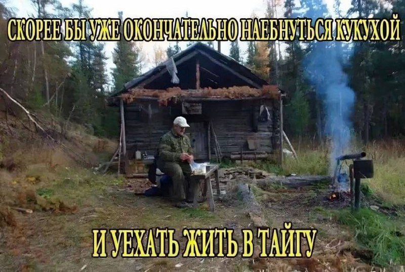 Скорее бы уже окончательно наебнуться кукухой и уехать жить в тайгу Мужчина в камуфляже сидит у старой избушки в лесу с подписью «Скорее бы уже окончательно наебнуться кукухой и уехать жить в тайгу»