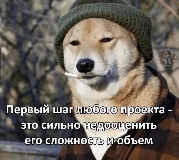 Первый шаг любого проекта Мем с собакой в шапке, курящей сигарету, и подписью: «Первый шаг любого проекта - это сильно недооценить его сложность и объем»