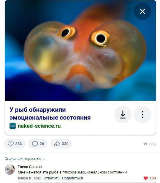 Рыба в плохом эмоциональном состоянии Крупный план грустной рыбы с печальным выражением лица