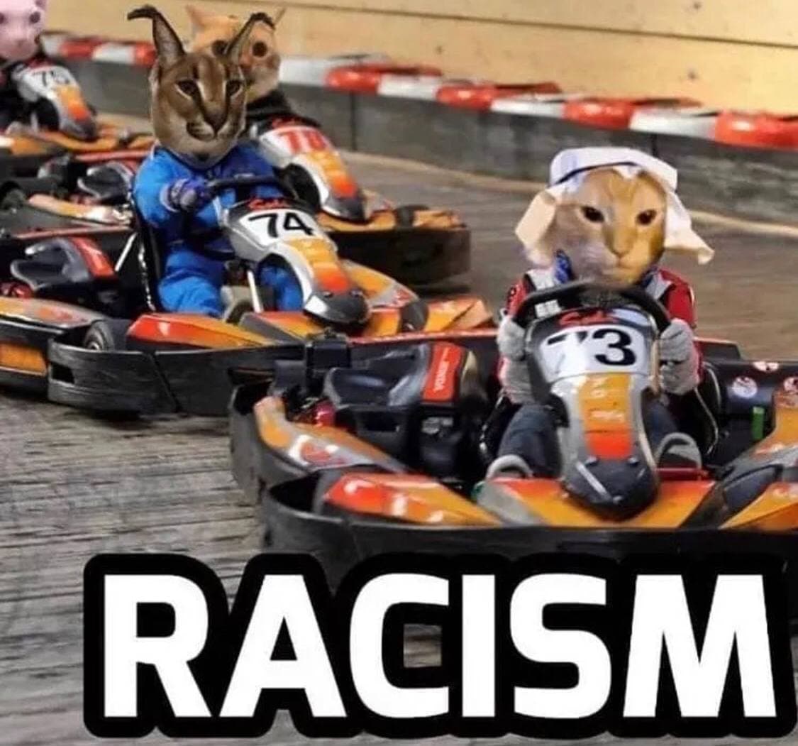 Флоппа и кот в арабской повязке на гонках RACISM Мем, где Флоппа и кот в арабской повязке участвуют в гонках, а внизу надпись RACISM.