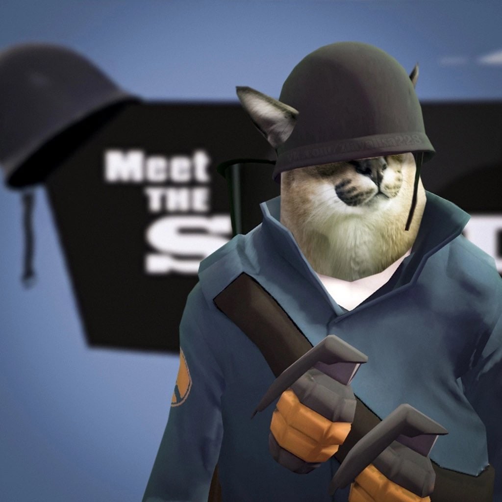 Флоппа Солдат из ТФ2 Мем, где Флоппа изображен в образе Солдата из игры Team Fortress 2, на фоне баннера с надписью «Meet THE S».