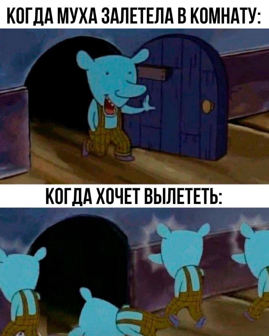 Муха в комнате Мем про муху, которая легко залетает в комнату, но не может вылететь