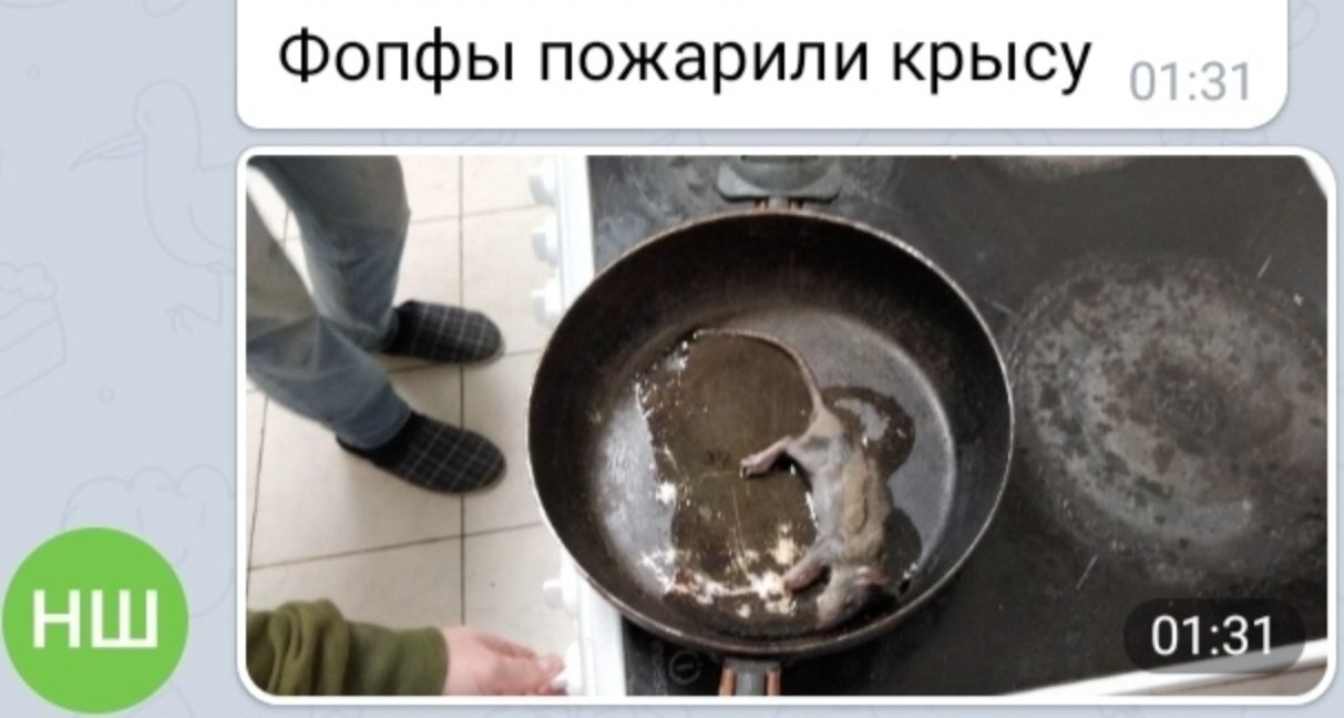 Фопфы пожарили крысу На сковородке, стоящей на плите, лежит мертвая крыса, жарящаяся в масле. Рядом с плитой видны чьи-то ноги в домашних тапочках, а в верхней части изображения - часть сообщения в телеграме со словами "Фопфы пожарили крысу"