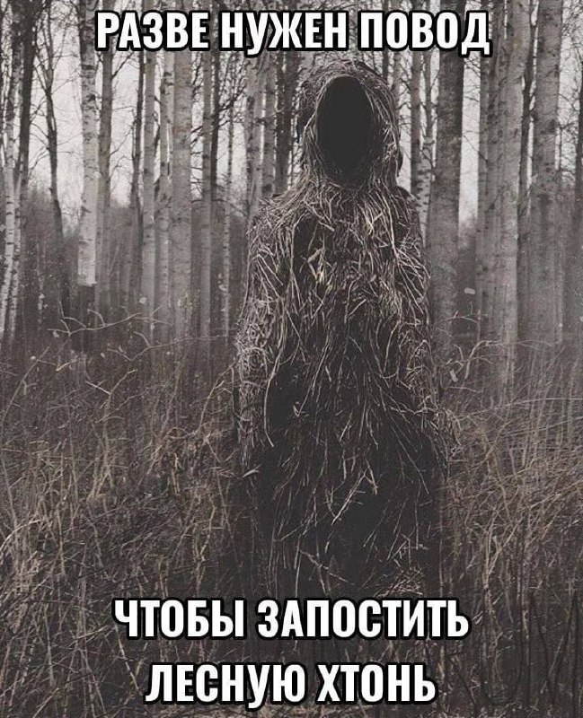 Разве нужен повод чтобы запостить лесную хтонь Лесная хтоническая сущность в маскировочном костюме, стоящая в лесу