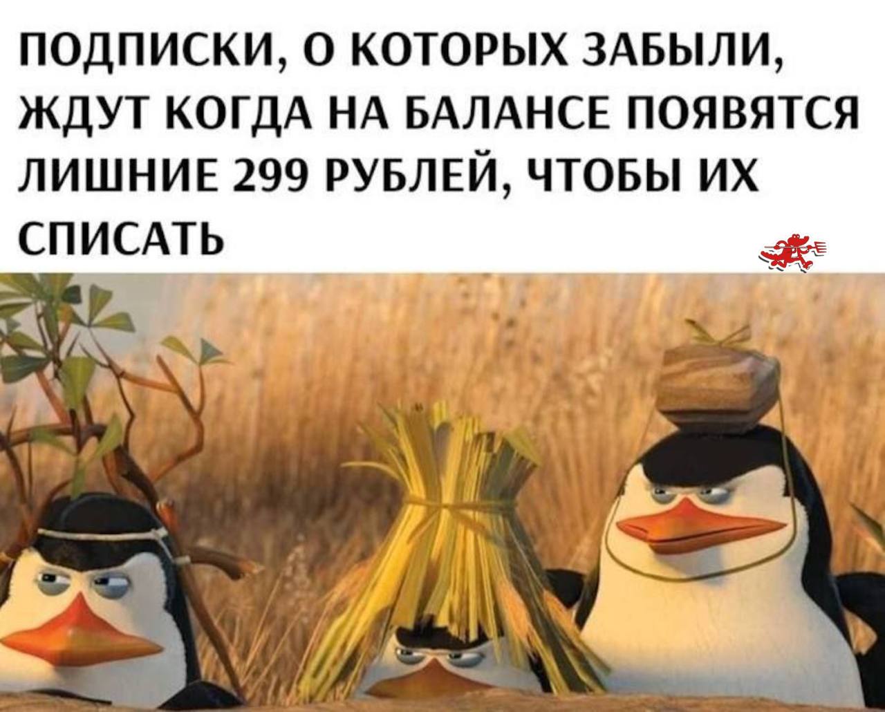 Подписки, о которых забыли, ждут когда на балансе появятся лишние 299 рублей Мем с пингвинами из Мадагаскара, несущими солому и блок, и надписью о забытых подписках, которые ждут, чтобы списать 299 рублей.