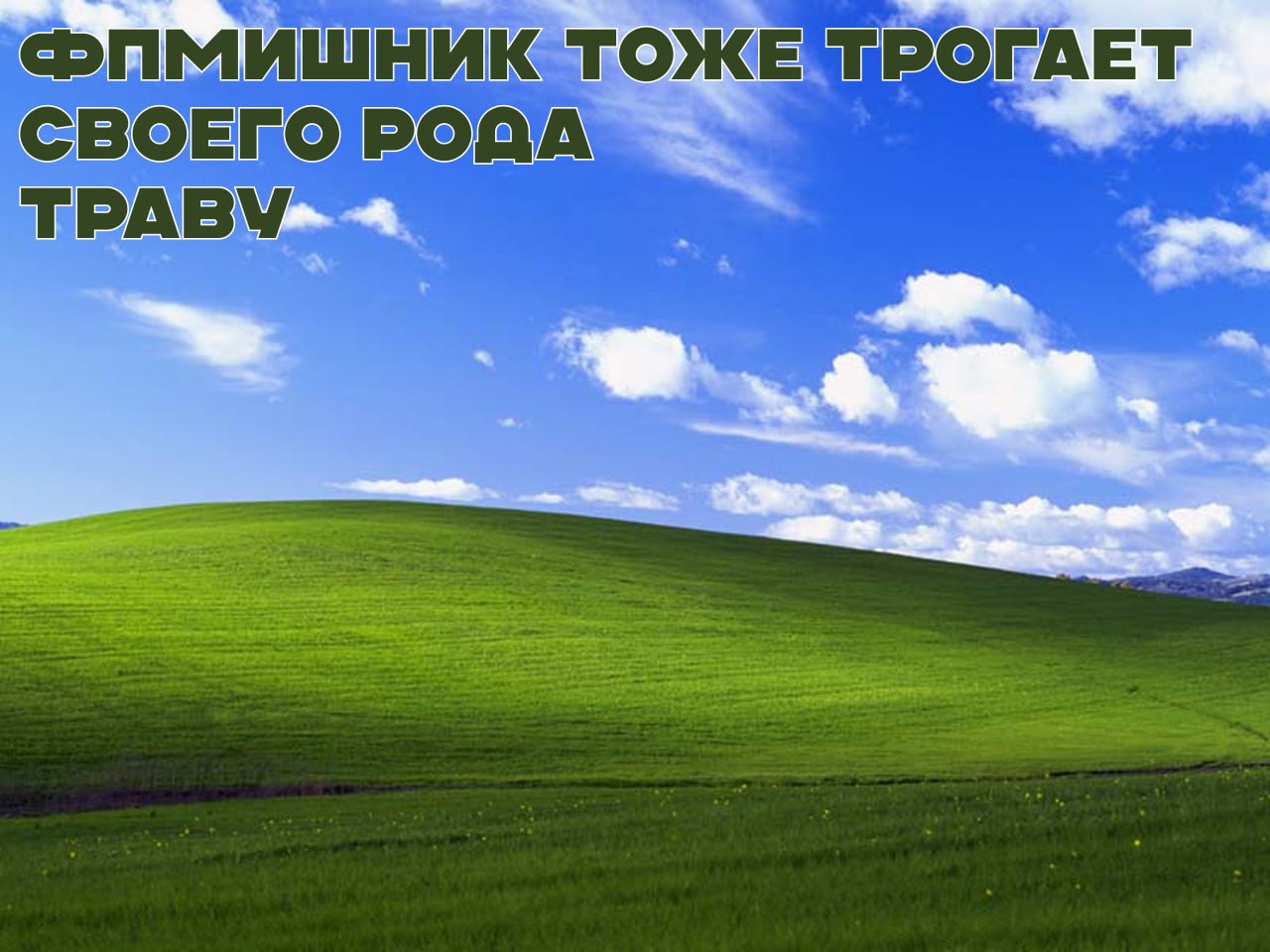ФПМИшник тоже трогает своего рода траву ФПМИшник тоже трогает своего рода траву, мем на фоне обоев Windows XP "Безмятежность"