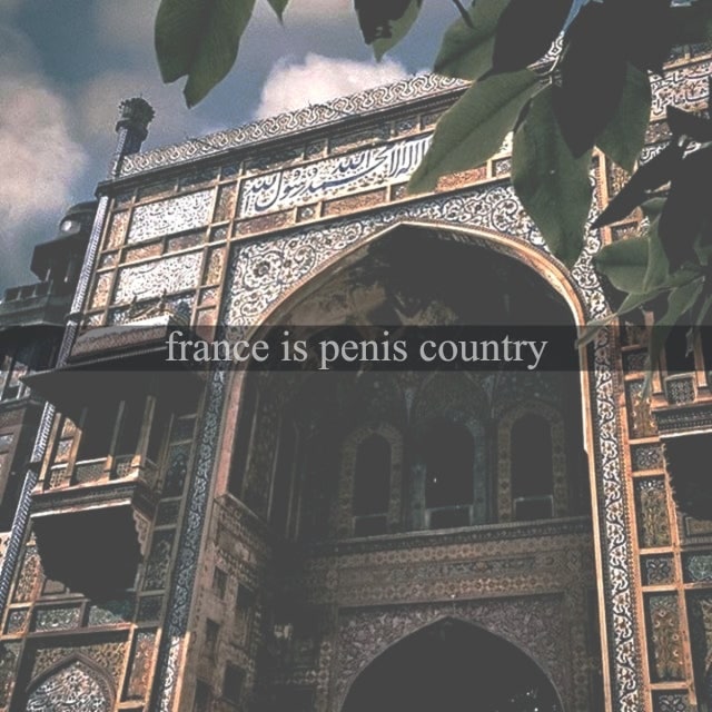 France is penis country Мем с надписью "france is penis country" на фоне старинного здания