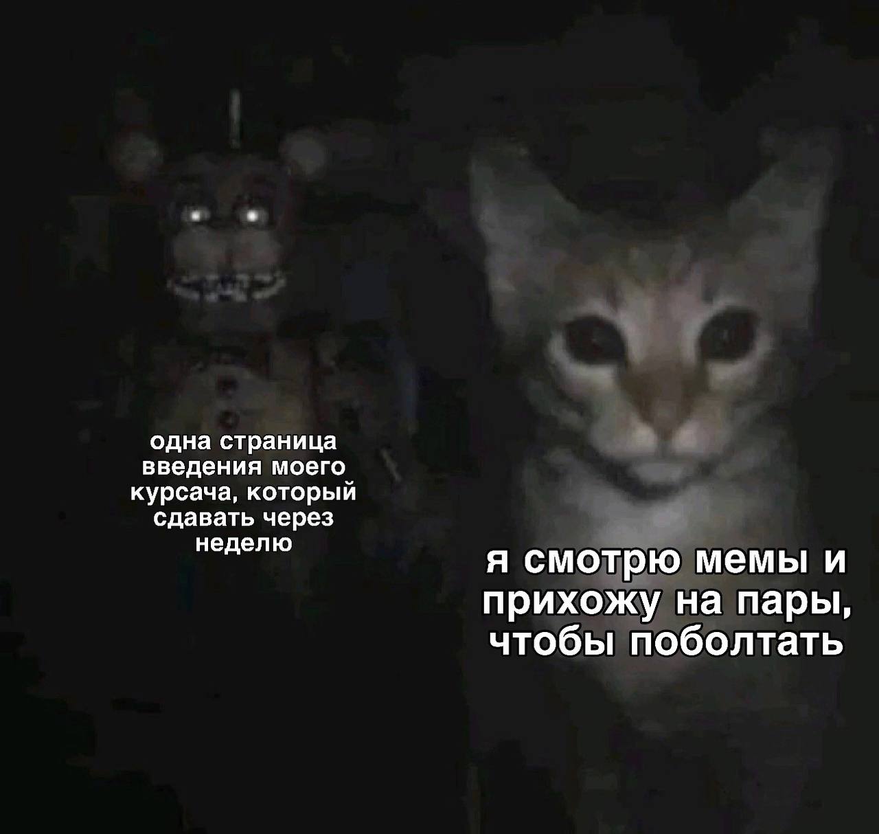 Фредди и кот Мем с Фредди из "Пяти ночей у Фредди" и испуганным котом, символизирующий контраст между учебой и беззаботной жизнью.