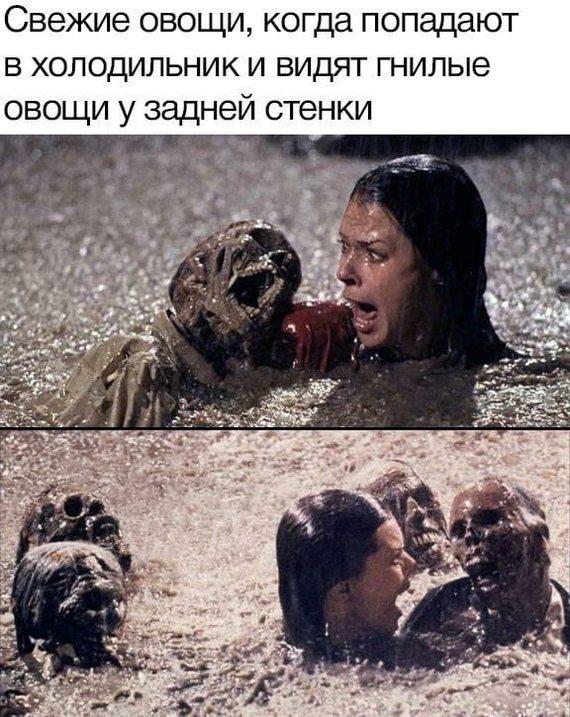 Свежие овощи, когда попадают в холодильник и видят гнилые овощи у задней стенки