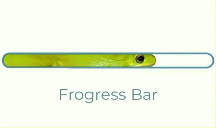 Frog Bar Шкала прогресса в виде лягушки