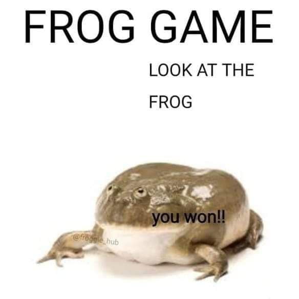 FROG GAME Прикольный мем с лягушкой и надписью «FROG GAME», «LOOK AT THE FROG», «you won!!»