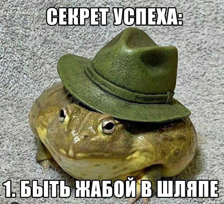 Секрет успеха: быть жабой в шляпе Мем с жабой в зеленой шляпе и надписью «Секрет успеха: 1. Быть жабой в шляпе»