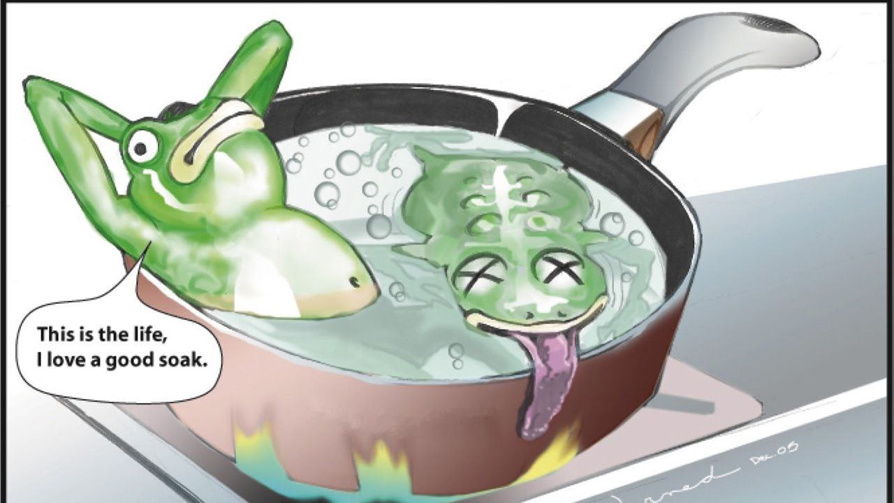 Лягушка в кипятке Мем с лягушкой в кипятке и фразой "This is the life, I love a good soak."