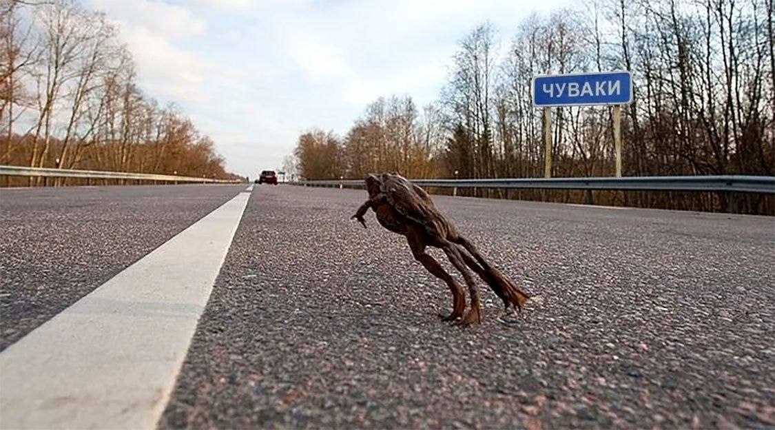 Лягушка бежит в Чуваки Мем с лягушкой, которая бежит по трассе в сторону указателя «Чуваки».