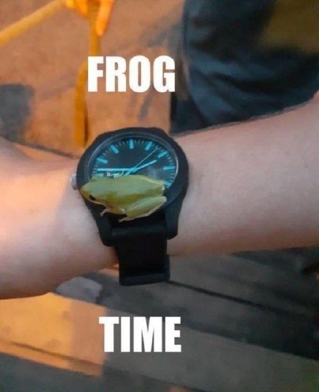 Frog time Наручные часы с маленькой зеленой лягушкой