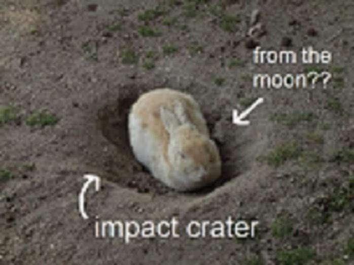 From the moon Кролик в ударном кратере с надписью «С Луны??»