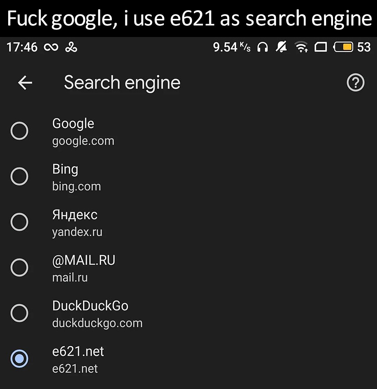 Fuck google, i use e621 as search engine Мем "Fuck google, i use e621 as search engine" на скриншоте выбора поисковой системы