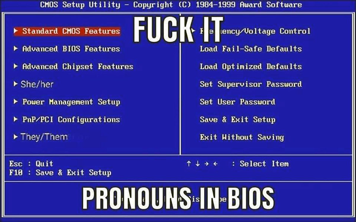 Fuck it Pronouns in BIOS Мем "Fuck it Pronouns in BIOS" с синим экраном настроек BIOS, где в меню добавлены пункты с местоимениями "She/her" и "They/them", и крупными буквами сверху и снизу написано "Fuck it" и "Pronouns in BIOS"