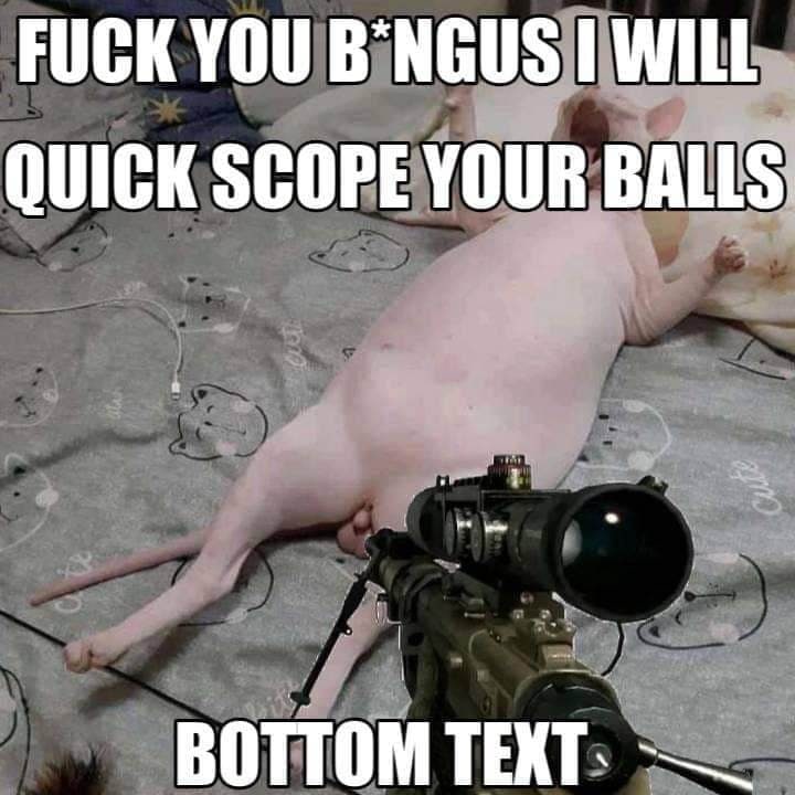 Fuck you B*ngus I will quick scope your balls Мем с котом сфинксом и снайперским прицелом на фоне серой простыни с кошачьими принтами.