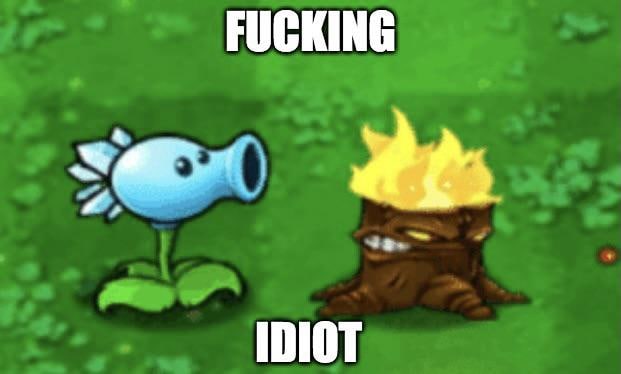 Fucking idiot Мем с растениями из игры Plants vs Zombies, где подпиленый пенек с огнем на голове смеется над синим горохострелом, а на картинке написано “fucking idiot”.