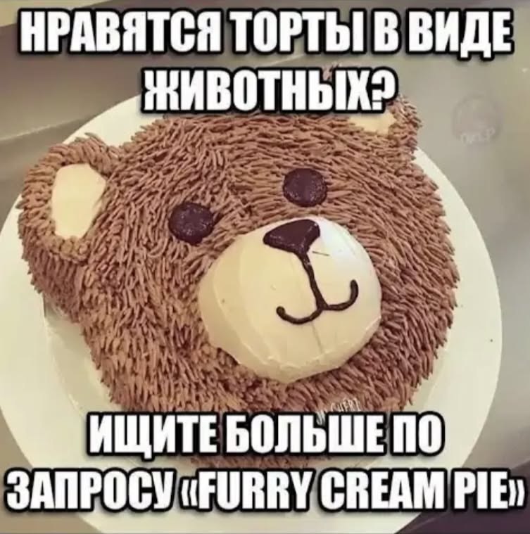 Торт в виде медвежонка с надписью «Ищите больше по запросу “Furry Cream Pie”».