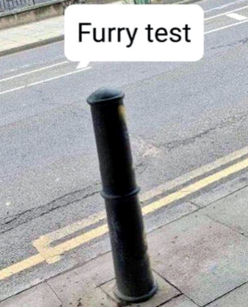 Furry test Тест на фурри со столбом на дороге