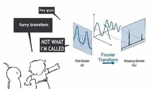Мем про Fourier Transform, который ошибочно называют furry transfem