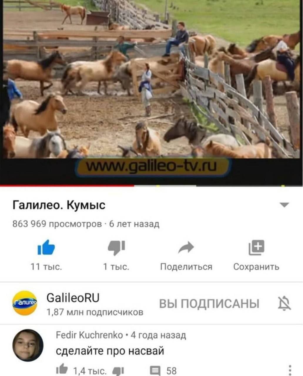Галилео. Кумыс Скриншот видео "Галилео. Кумыс" с YouTube, где в загоне много лошадей и комментарий "сделайте про насвай".