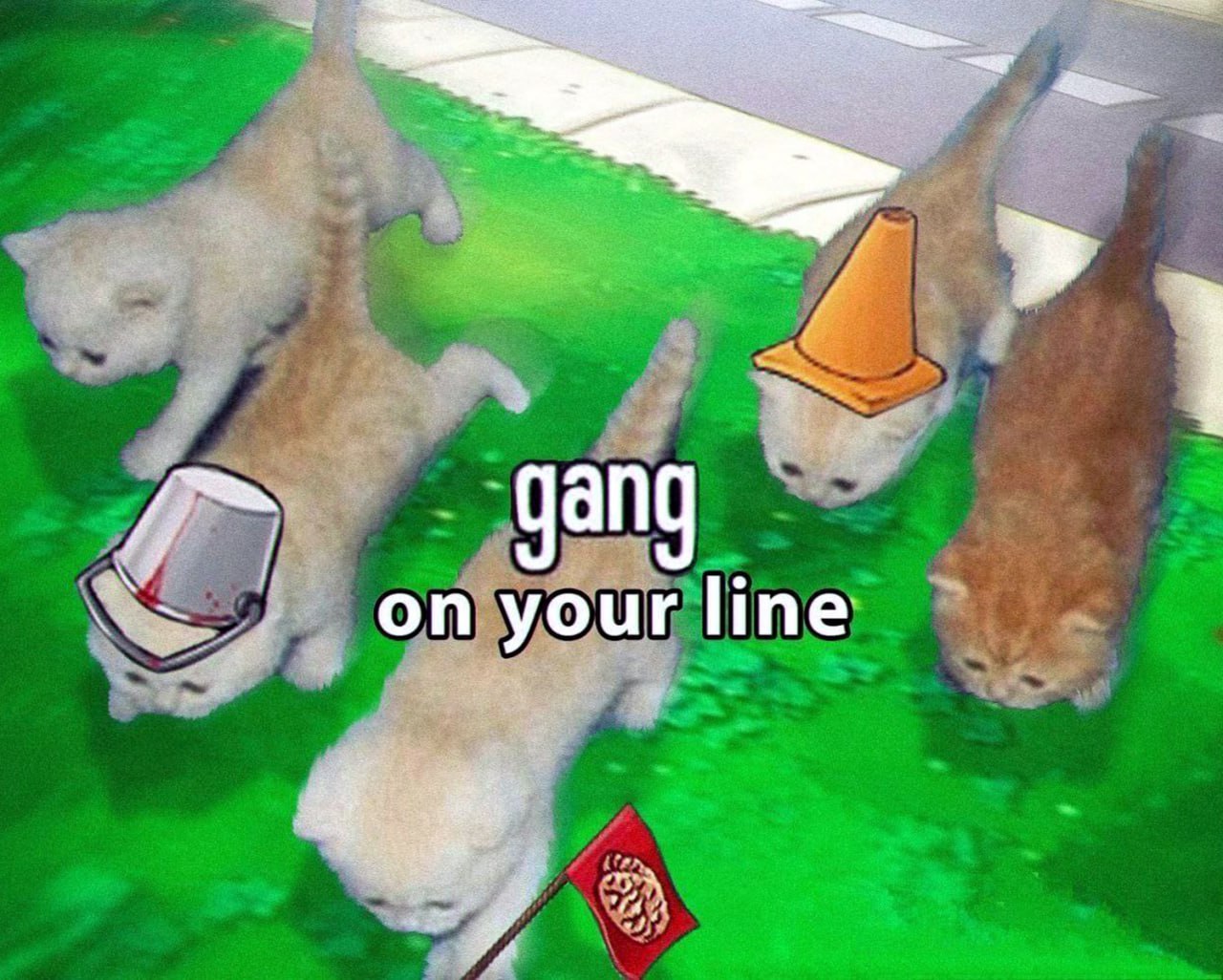 Gang on your line котята Группка из пяти котят и текст gang on your line