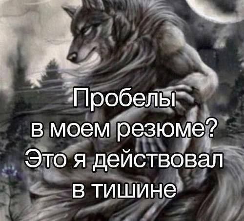 Пробелы в моем резюме? Это я действовал в тишине Волк-оборотень смотрит вдаль на фоне леса и луны, с текстом о пробелах в резюме.