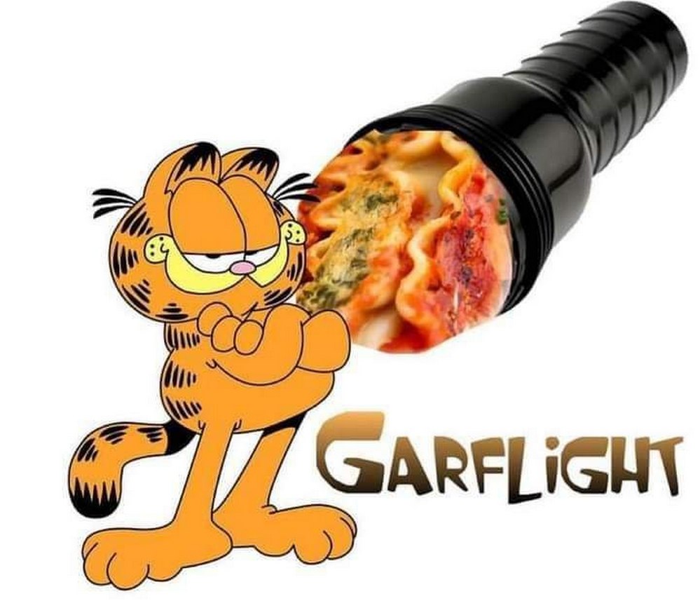 Мем Garflight Мем Garflight, где кот Гарфилд изображен рядом с черным предметом, внутри которого лазанья