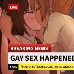 Аниме-кадр с фейковой новостной плашкой, где крупно написано «GAY SEX HAPPENED» и показан экстренный выпуск новостей.