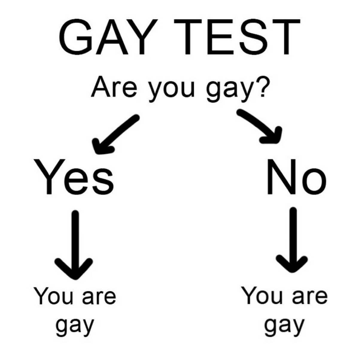 GAY TEST Мем «GAY TEST» с блок-схемой, где оба ответа приводят к результату «Ты гей»