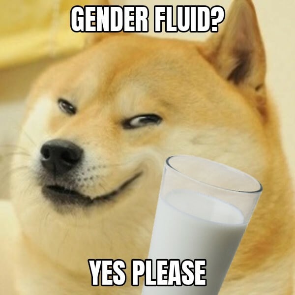 Gender fluid? Yes please Мем с сиба-ину и стаканом молока под текстом «Gender fluid? Yes please»