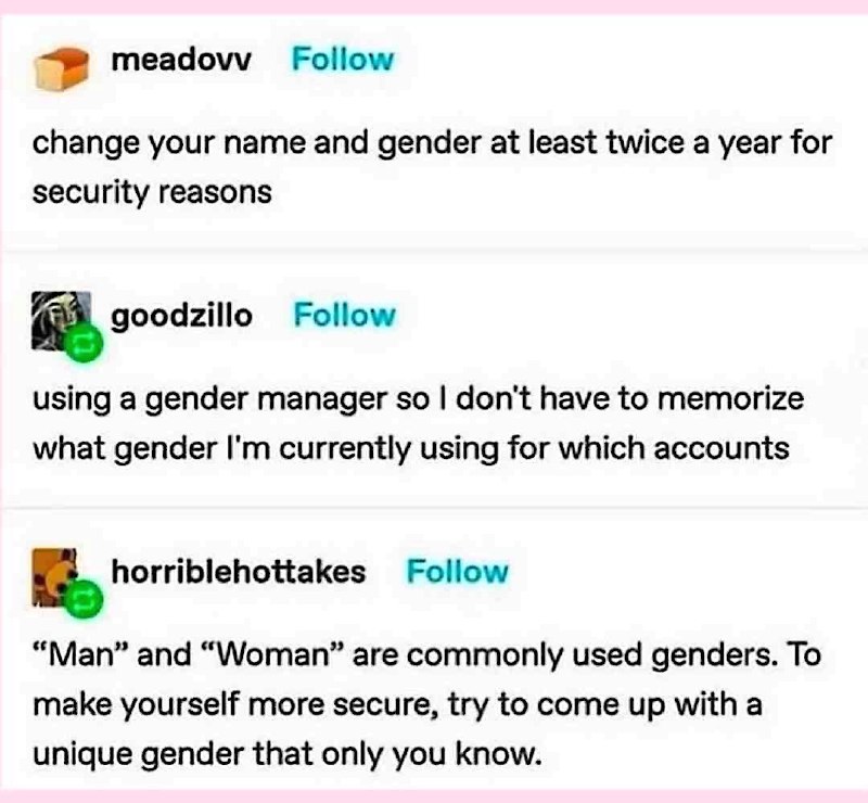 Мем про советы по смене гендера для онлайн-безопасности