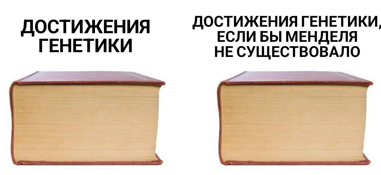 Достижения генетики, если бы Менделя не существовало Достижения генетики, если бы Менделя не существовало