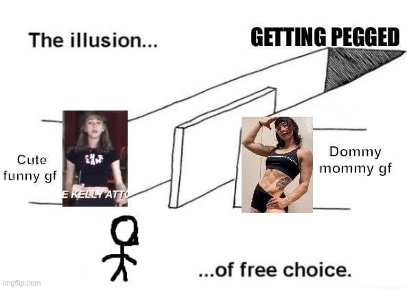 Схема с «иллюзией» выбора между cute funny gf и dommy mommy gf, где в конце оказывается getting pegged «по свободному выбору»