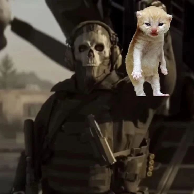 Гоуст и котенок Гоуст и котенок из Call of Duty