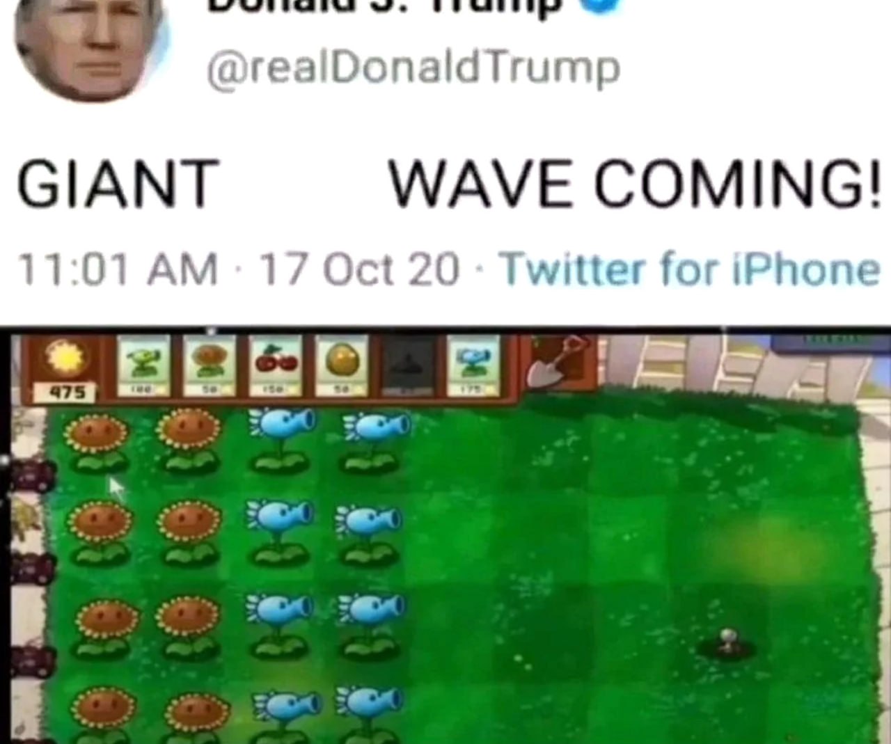 Giant wave coming Plants vs Zombies Мем с твитом Дональда Трампа "GIANT WAVE COMING" и геймплеем Plants vs Zombies, где игрок готовится к нашествию зомби.
