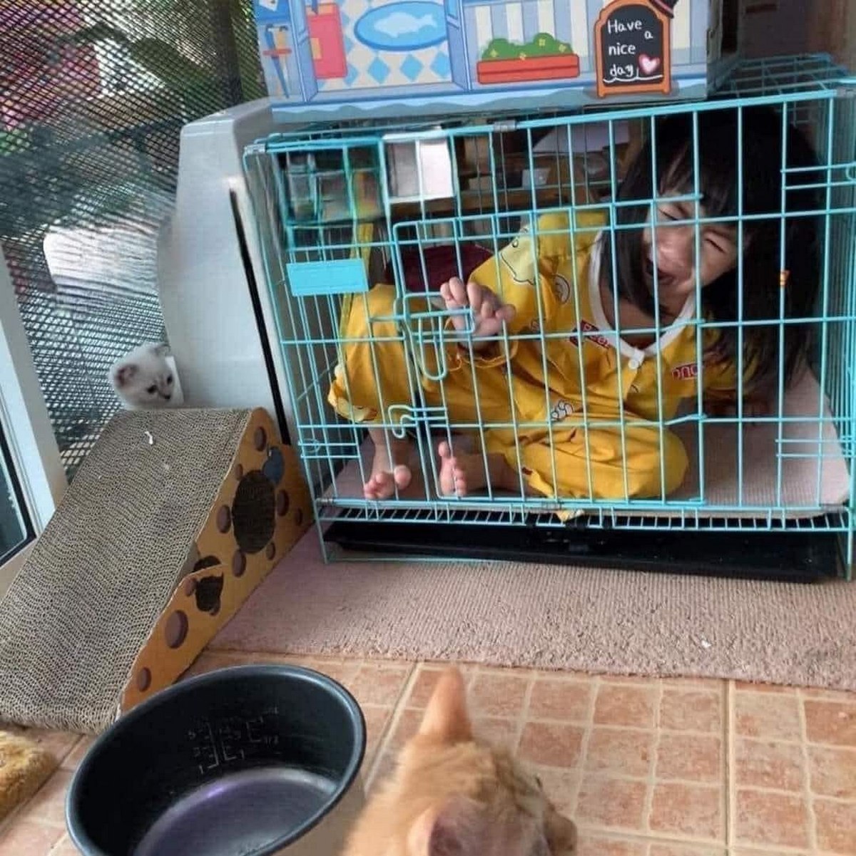 Девочка в клетке "Have a nice dog" Девочка в желтой пижаме сидит в голубой клетке для животных, а две кошки смотрят на неё. Сверху на клетке висит табличка с надписью "Have a nice dog".