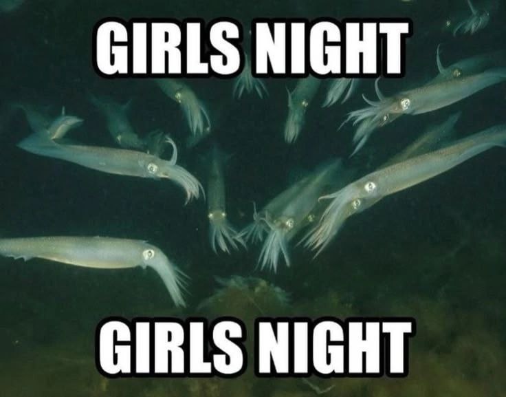 Girls night кальмары Мем с кальмарами и надписью «Girls Night»