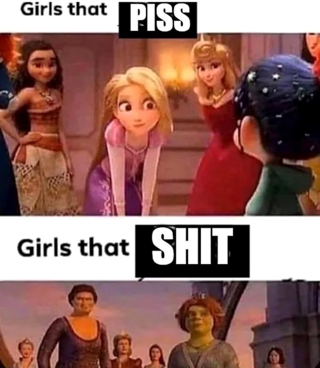 Girls that PISS vs Girls that SHIT Мем Girls that PISS vs Girls that SHIT