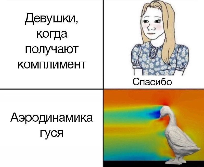 Девушки, когда получают комплимент и аэродинамика гуся Девушки, когда получают комплимент, и аэродинамика гуся