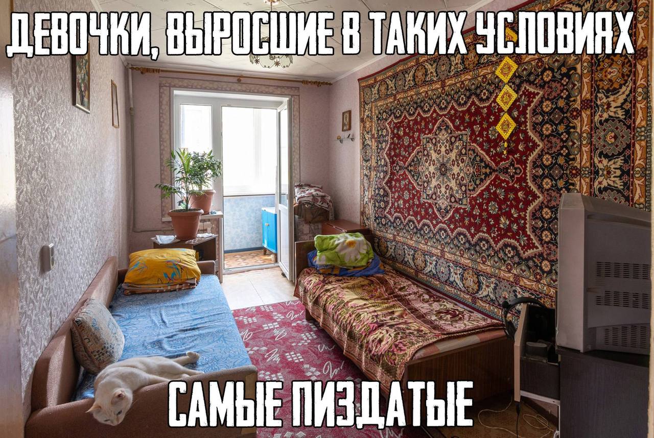 Комната с коврами на стенах, двумя диванами и белой кошкой с подписью о девушках, выросших в таких условиях.