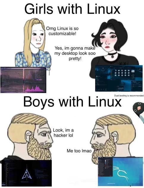 Девочки с Linux против мальчиков с Linux Мем «Девочки с Linux» и «Мальчики с Linux» с двумя персонажами, которые смотрят друг на друга и говорят о Linux, а также два бородатых мужчины (гигачады), которые делают то же самое. Каждый из них показывает свой рабочий стол.