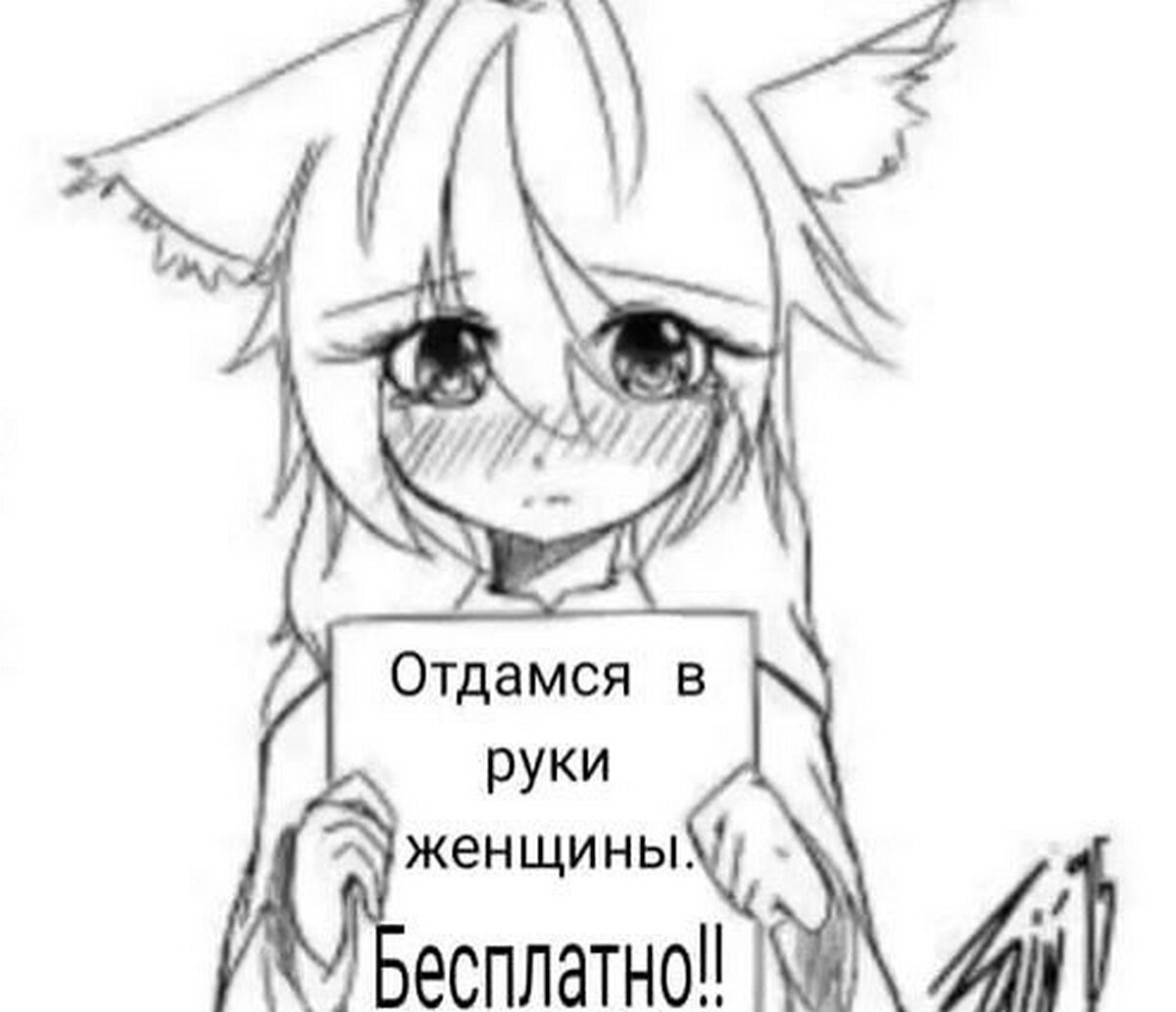 Застенчивая аниме-девушка с кошачьими ушками держит табличку: «Отдамся в руки женщины. Бесплатно!!»