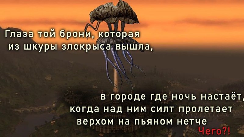Глаза той брони, которая из шкуры злокрыса вышла Мем со странным текстом про броню из шкуры злокрыса и летающую сущность верхом на пьяном нетче