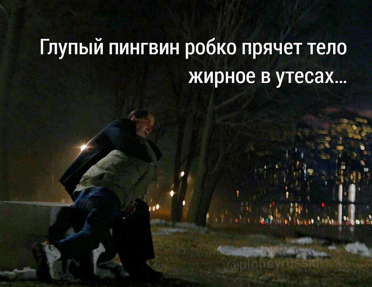 Глупый пингвин робко прячет тело жирное в утесах Глупый пингвин робко прячет тело жирное в утесах