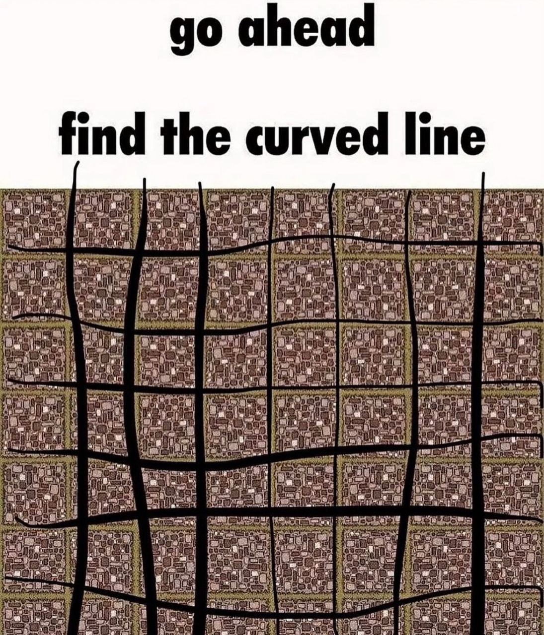 Go ahead find the curved line Мем с надписью «Go ahead find the curved line» и оптической иллюзией с кривыми и прямыми линиями.