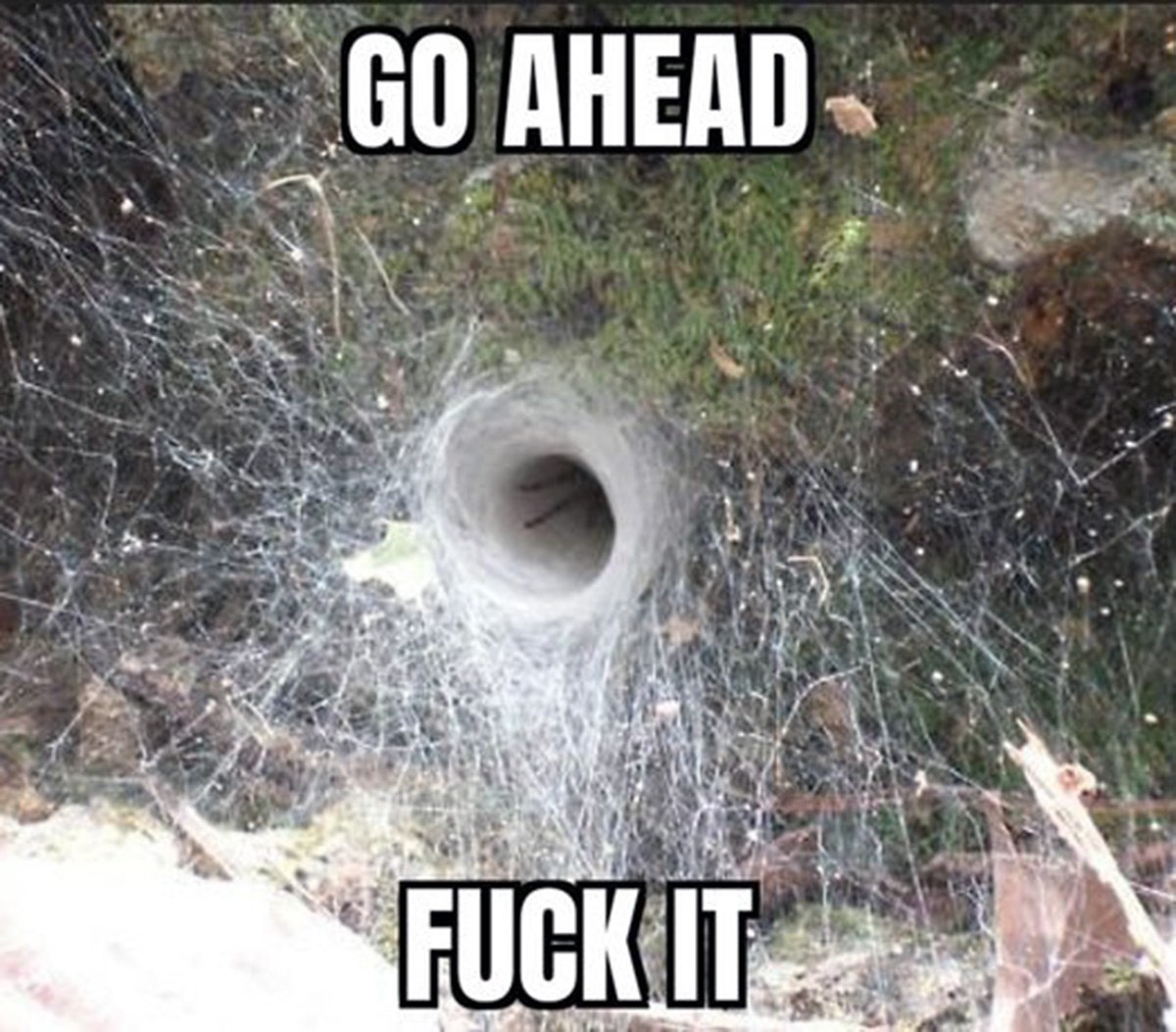 Паутина "Go ahead fuck it" Паутина с отверстием в центре и надписью "GO AHEAD FUCK IT"